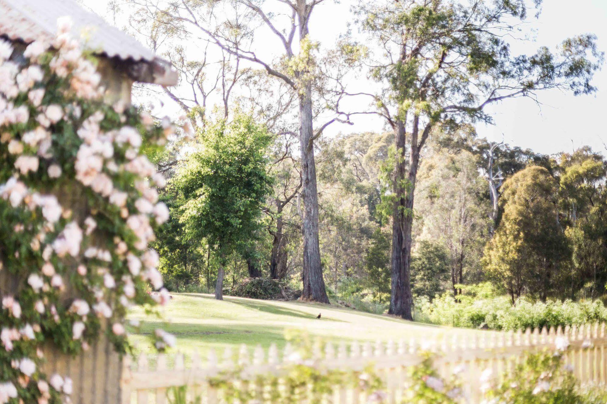 Berrima Bakehouse Motel Экстерьер фото